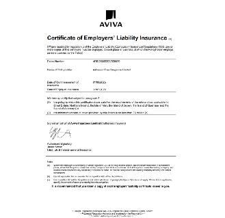 Tree Felling Company Croydon