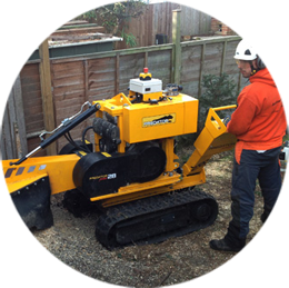 Tree Surgeons Croydon