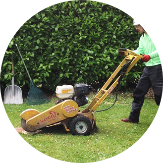 Stump Grinding Sanderstead