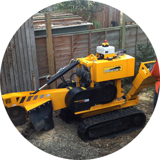 Stump Grinding Croydon